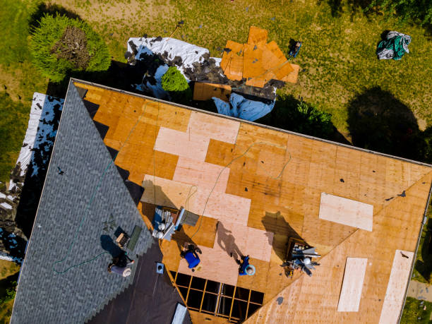 Roof Gutter Cleaning in St Paul, TX