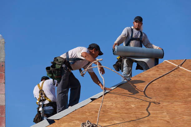 Best Flat Roof Repair Services  in St Paul, TX