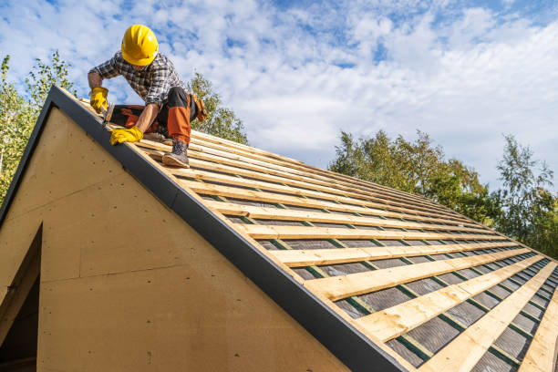 Best Metal Roofing Contractor  in St Paul, TX