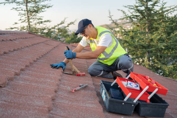 Professional Roofing Contractor in St Paul, TX